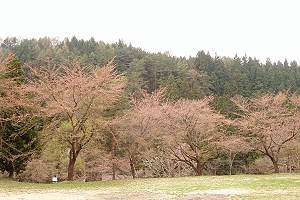 骺L
